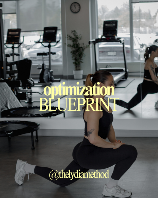 Optimization Blueprint (best)